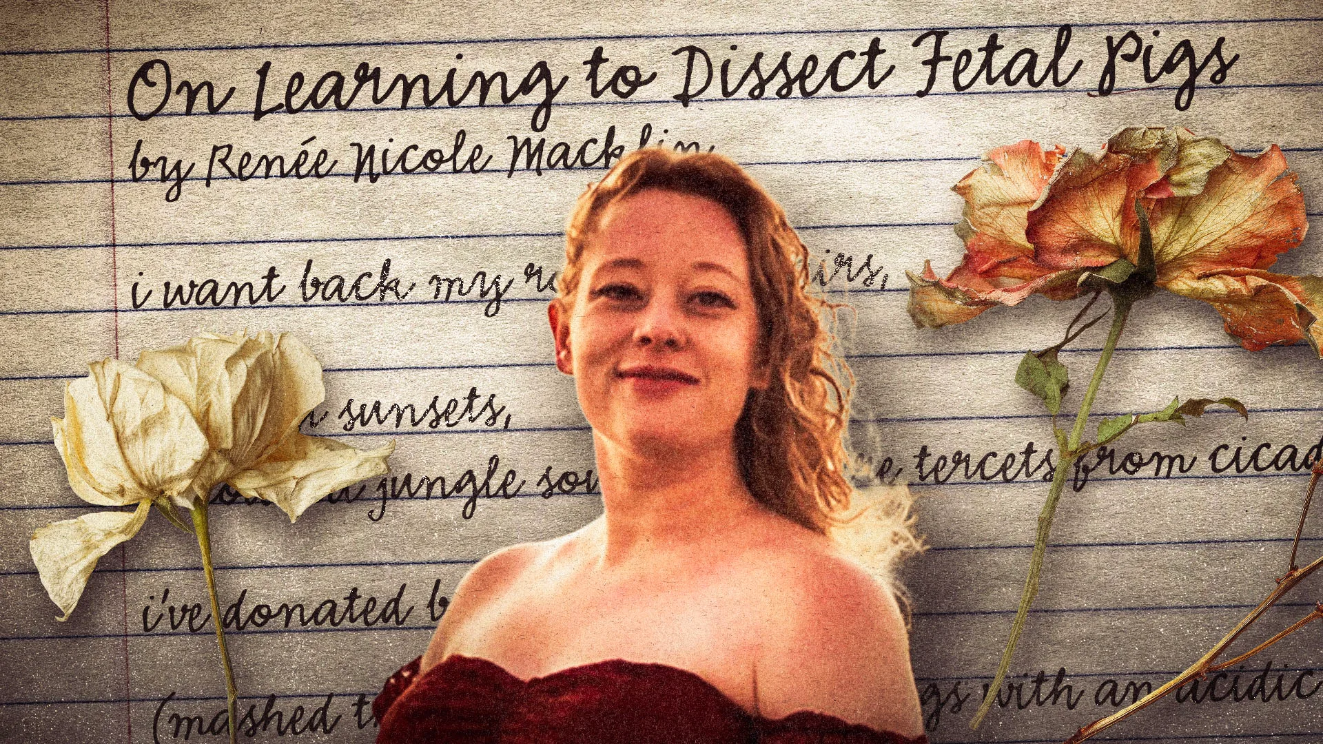 The Killing of Renée Good and the Breaking Point of American Politics